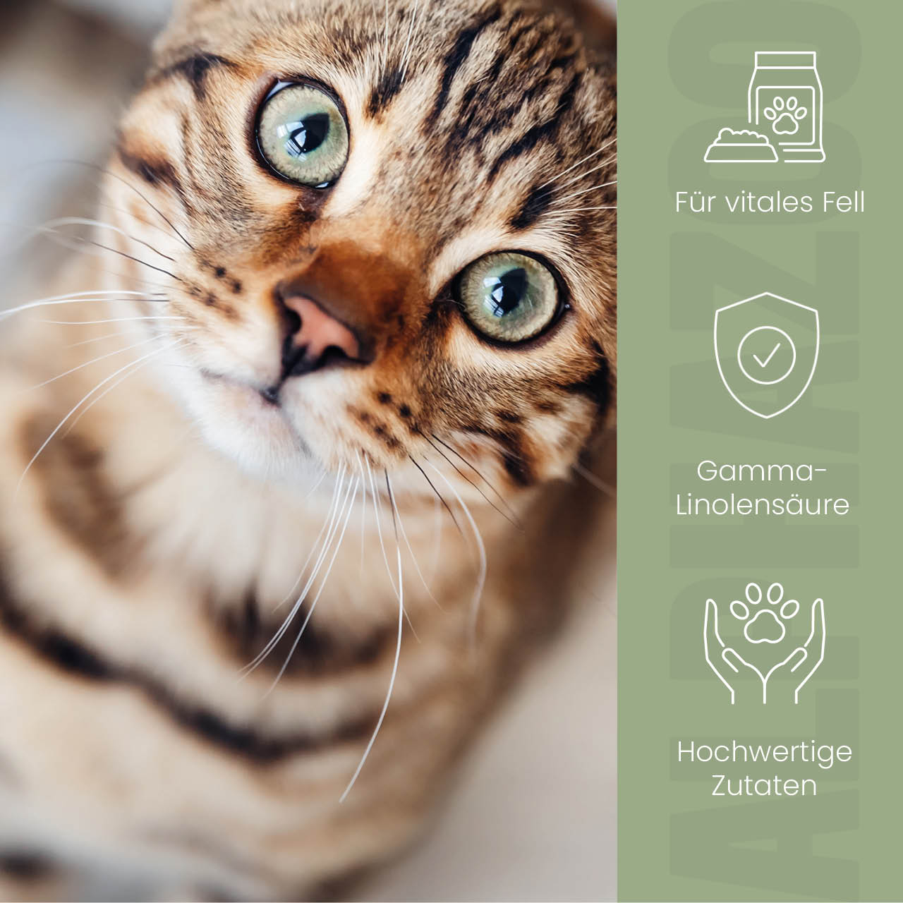 Fellliebe Futteröl für Katzen - Lachsöl mit Arganöl & Mandelöl für Haut und Fell