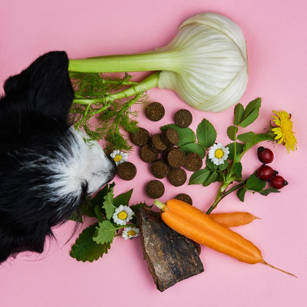 Bundle von Tierliebhaber Grasfresser Drops und Z-Snack