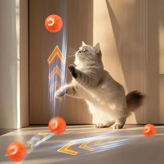 Interaktives Katzenspielzeug – Rolliball Spielball - intelligenter Ball - aktiver Ball für deine Katze