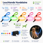 LED Hundeleine 120 cm – wiederaufladbare Leuchtleine