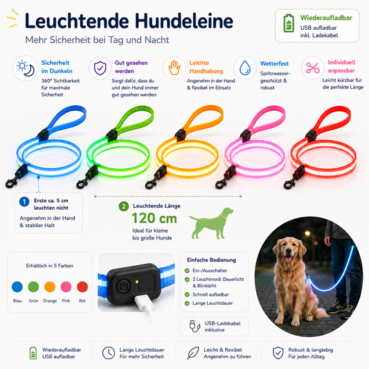 LED Hundeleine 120 cm – wiederaufladbare Leuchtleine