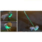 USB wiederaufladbares LED Hundegeschirr in Aktion, perfekt für die Dämmerung und Nacht