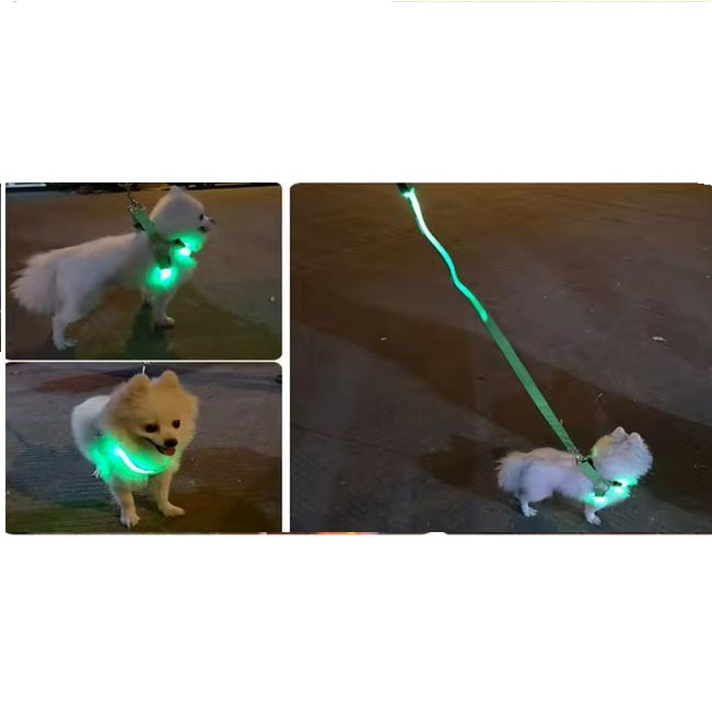 USB wiederaufladbares LED Hundegeschirr in Aktion, perfekt für die Dämmerung und Nacht