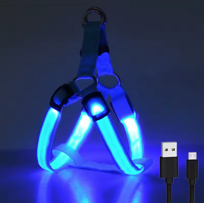 Nahaufnahme des USB wiederaufladbaren LED Hundegeschirrs, das Sicherheit und Stil kombiniert