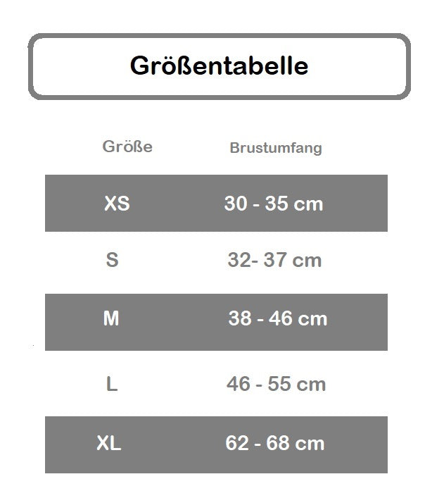 Hundefreunde genießen einen Abendspaziergang mit dem perfekten USB wiederaufladbaren LED Hundegeschirr