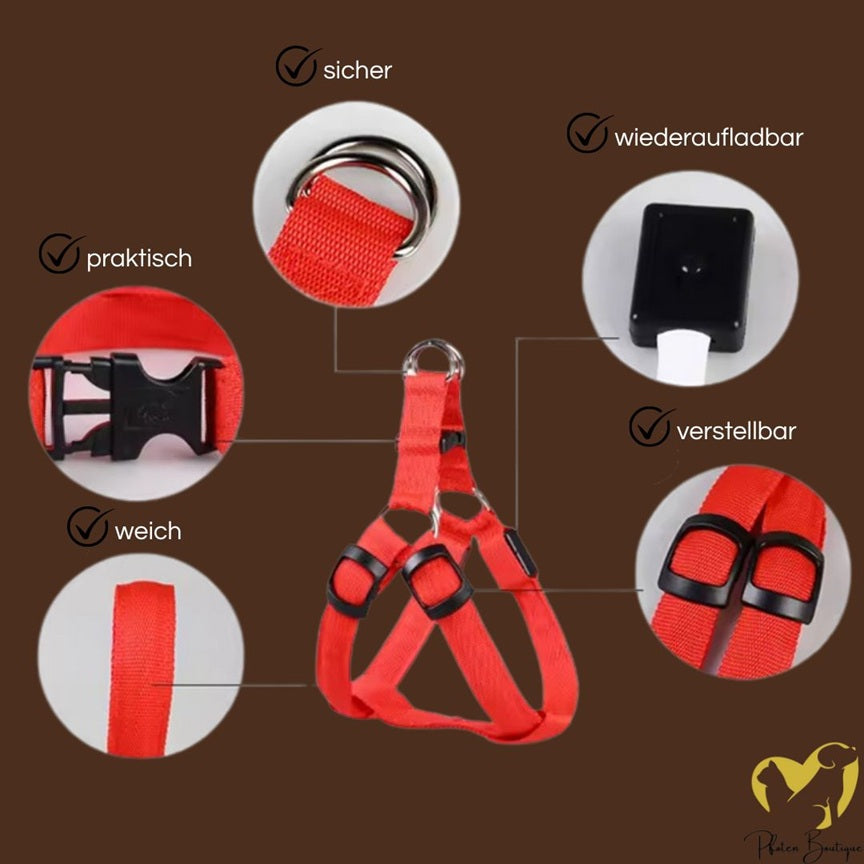 USB wiederaufladbares LED Hundegeschirr - leuchtendes Hundegeschirr
