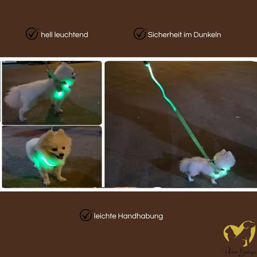 USB wiederaufladbares LED Hundegeschirr - leuchtendes Hundegeschirr