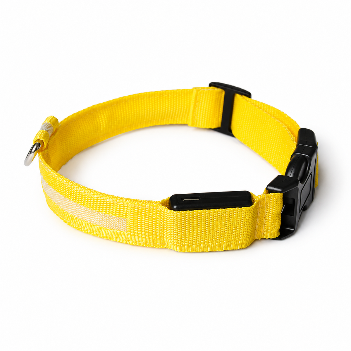 leuchtendes Hundehalsband LED - aufladbar - mehr Sicherheit für Deinen Hund
