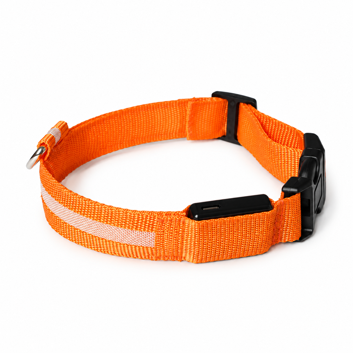 leuchtendes Hundehalsband LED - aufladbar - mehr Sicherheit für Deinen Hund