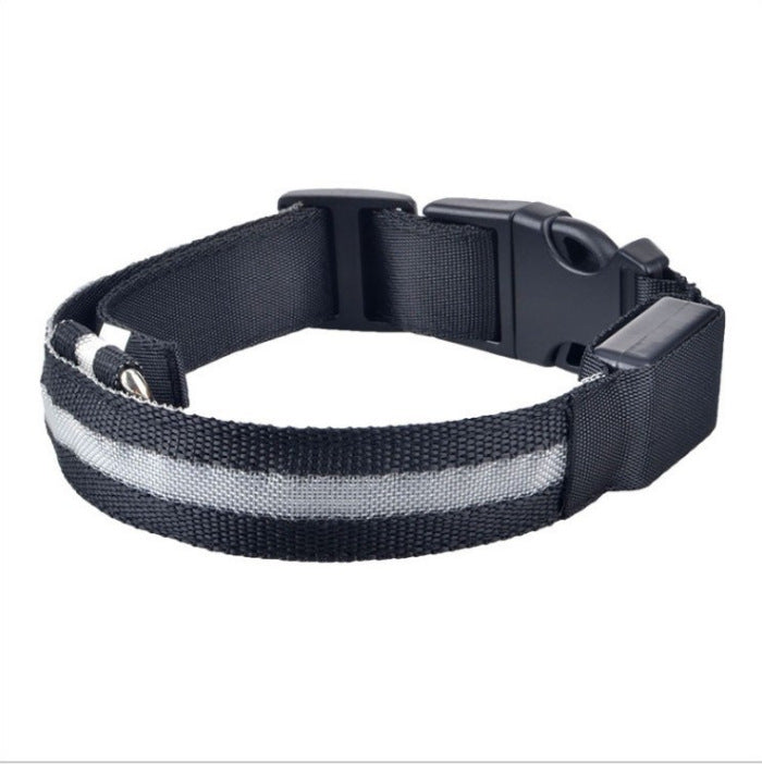 leuchtendes Hundehalsband LED - aufladbar - mehr Sicherheit für Deinen Hund