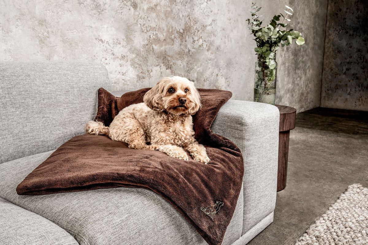 Hundedecke Emma Dunkelbraun - Fleecedecke frei von Schadstoffen