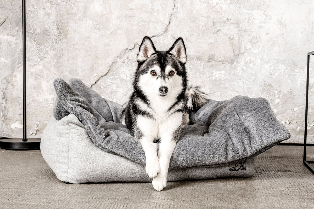 Hundedecke Emma Dunkelgrau - Fleecedecke frei von Schadstoffen