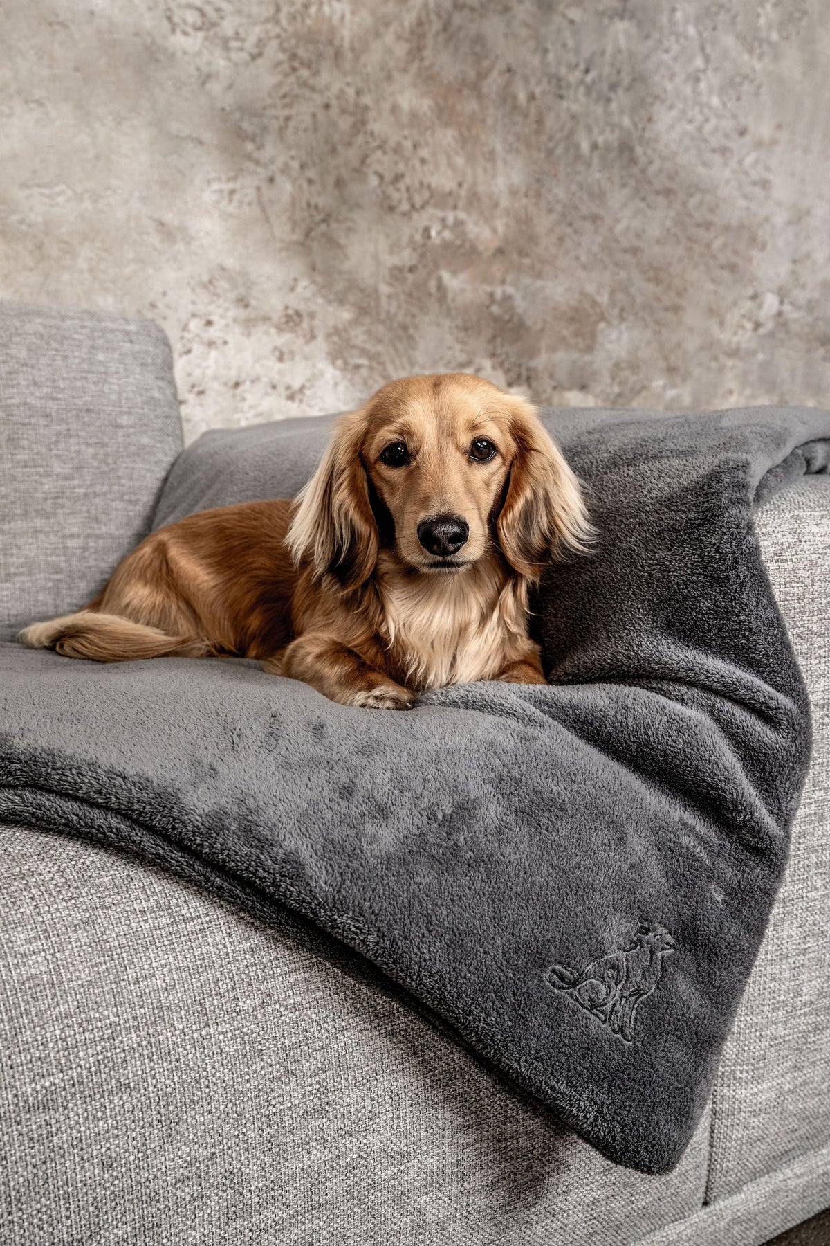 Hundedecke Emma Dunkelgrau - Fleecedecke frei von Schadstoffen