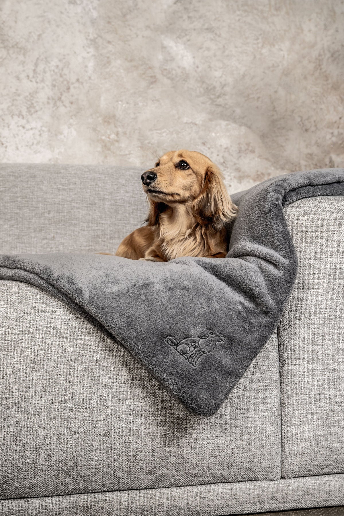 Hundedecke Emma Dunkelgrau - Fleecedecke frei von Schadstoffen