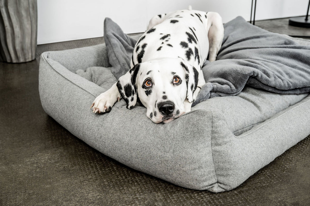 Hundedecke Emma Dunkelgrau - Fleecedecke frei von Schadstoffen