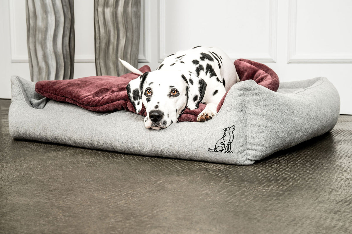 Hundedecke Emma Weinrot - Fleecedecke frei von Schadstoffen