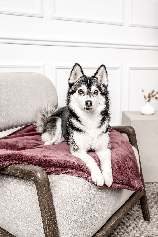 Hundedecke Emma Weinrot - Fleecedecke frei von Schadstoffen