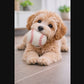BASEBALL BUDDY. Hundespielzeug aus Schafwolle - natürlich und schwimmfähig