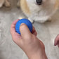 Interaktives Hundespielzeug – Rolliball Spielball - intelligenter Ball