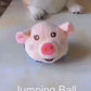 Jumping Ball Hundespielzeug – interaktiver Springball