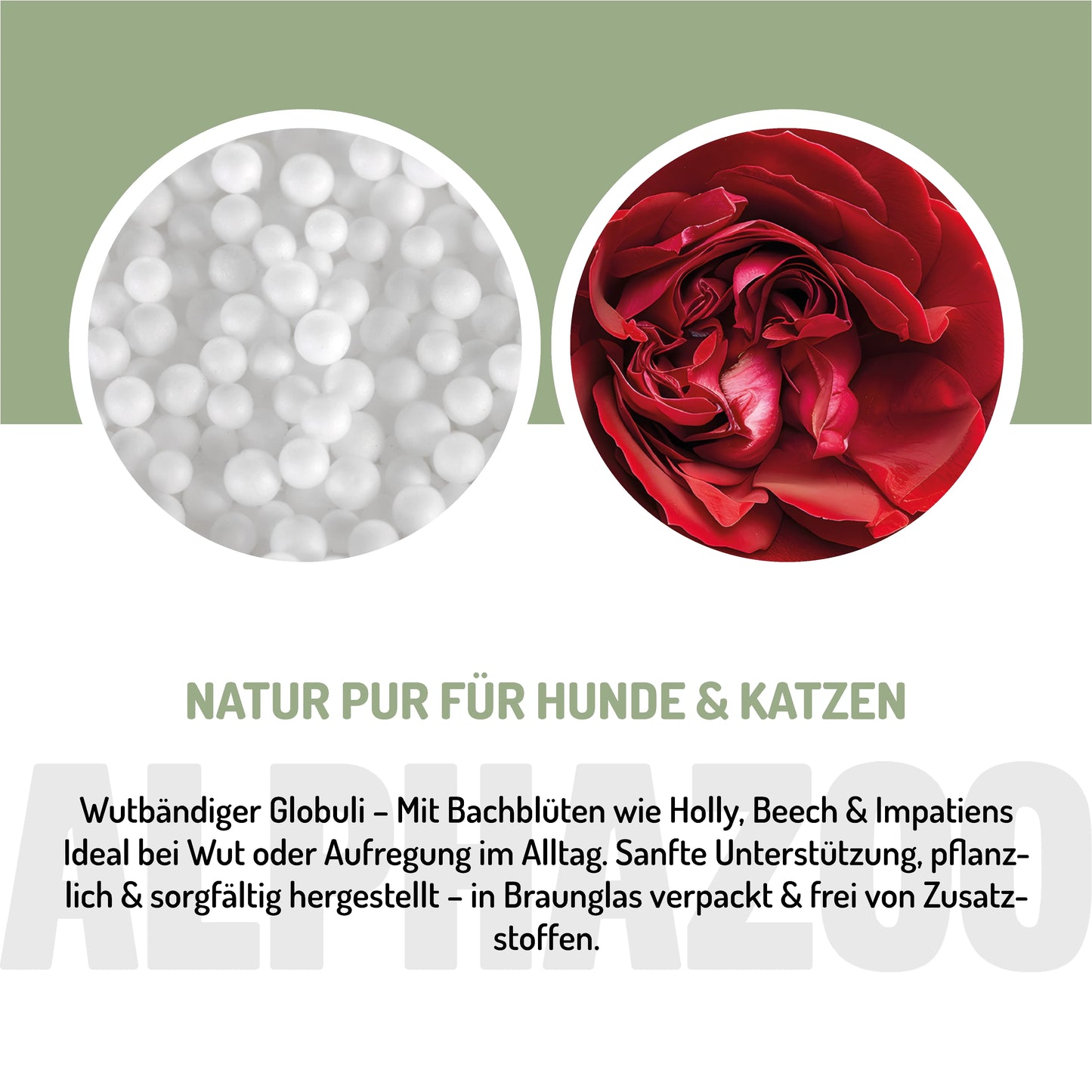 Wutbändiger Bachblüten für Katze - Natürliche Unterstützung für mehr Gelassenheit (Kopie)