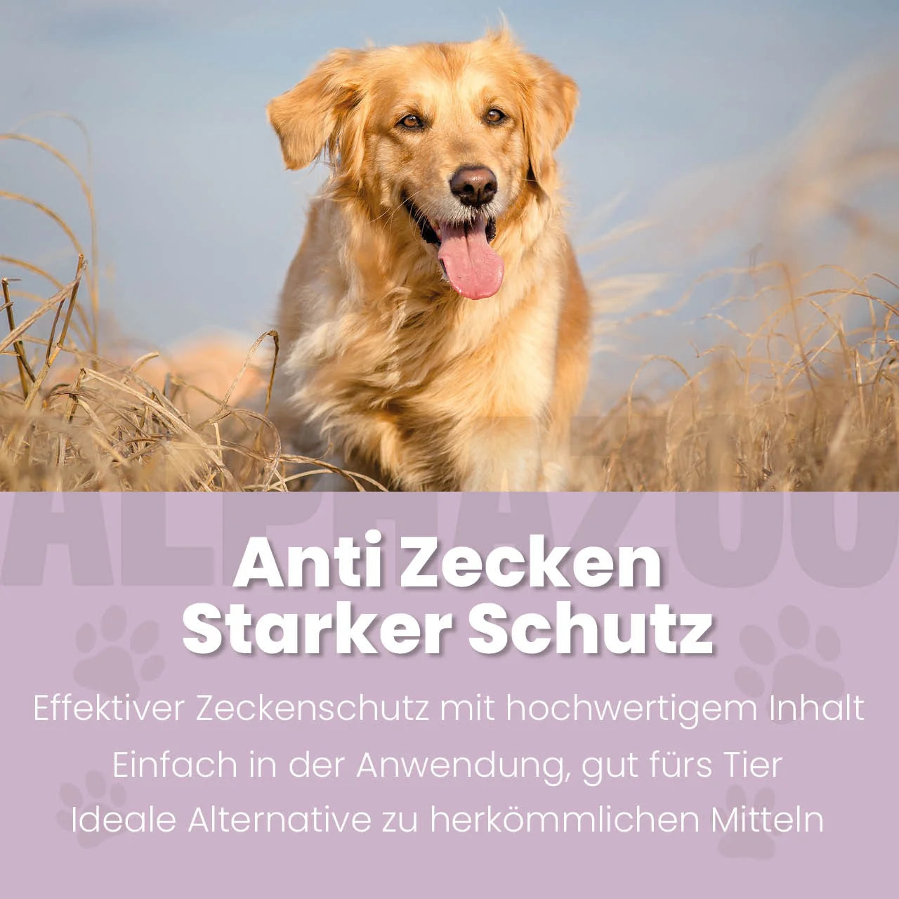 ZeckAttack Spot-On für Hunde - Natürlicher Zeckenschutz mit Lavendelöl