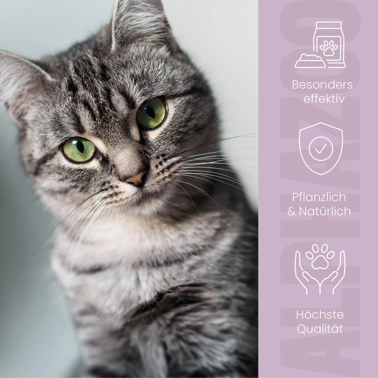ZeckAttack Spot-On für Katzen - Natürlicher Zeckenschutz mit Lavendelöl