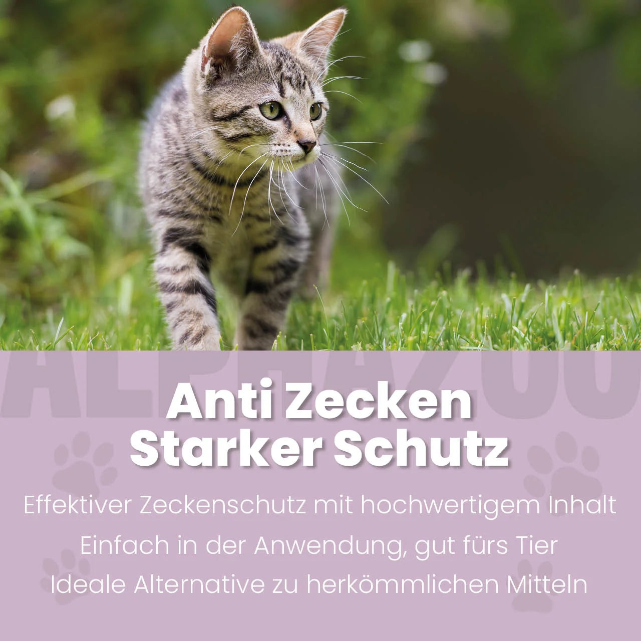ZeckAttack Spot-On für Katzen - Natürlicher Zeckenschutz mit Lavendelöl