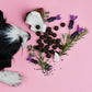 Bundle von Tierliebhaber Grasfresser Drops und Z-Snack